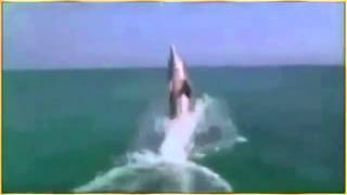 Kenan Erçetin Seni Sevmek Istiyorum. Şiir: Mutaharra Arlı Özkök