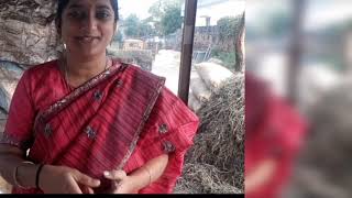 సంక్రాంతి సంబరాలు ||telugammayi ||bysandhya