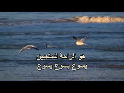 يسوع إلهي صخرتي ترسي خلاصي وقوتي الحياة الافضل