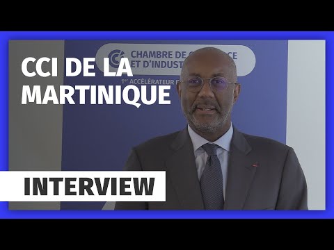 Zoom sur les actions de la CCI Martinique