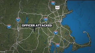 Southbridge officer attacked by rabid bobcat