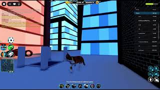 busting a bank robbery as an orange tabby cat in roblox jailbreak part 3
hope u guys enjoy this busting bank jailbreak video!
song(s) that was used in this video: THE SLUMS - GANGSTA TRAP CARTEL busting a bank robbery as an orange tabby cat in roblox jailbreak part 3