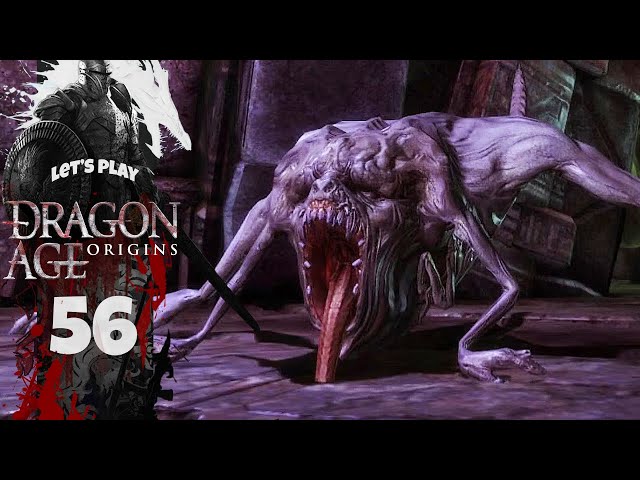 Dragon Age： Origins Amazon.com: Dragon Age: Origins - Xbox 360 : Video Games