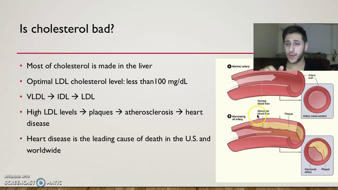 Statins - YouTube
