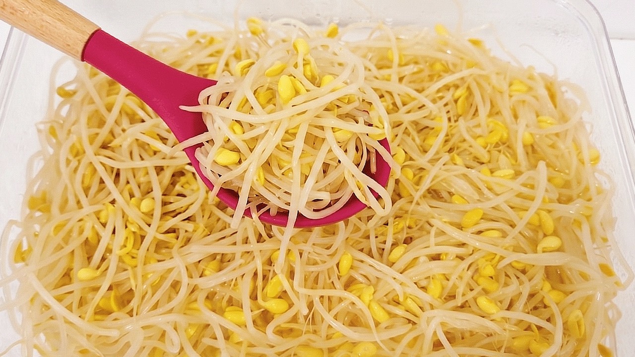 콩나물 매번 삶고 무치지 마세요 무조건 많이 사오셔서 이렇게 드세요! 한통 가득 만들어도 남아나질 않습니다