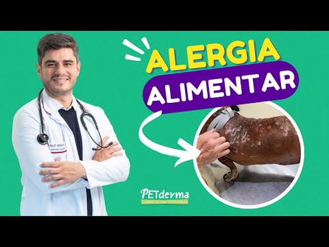 Saiba Tudo Sobre Alergia Alimentar Canina