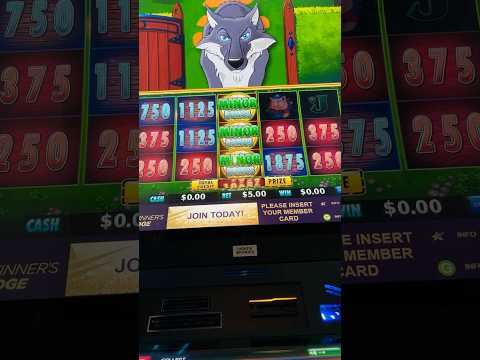 Erleben Sie Echtgeld-Casino-Spiele bei WinBay Games - das Online-Casino in Ihrer Sprache für Deutschland