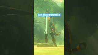breath of the wild MASTER SWORD!