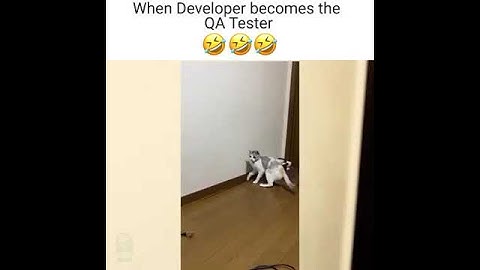 When developer ecomes the QA Tester...| Funny videos| Best Software Testing Company | Qualysec