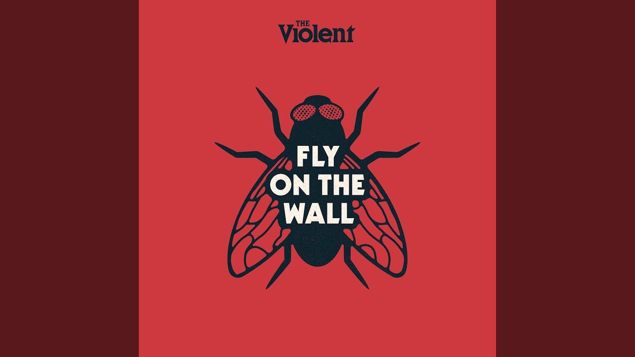 Fly on the Wall VI