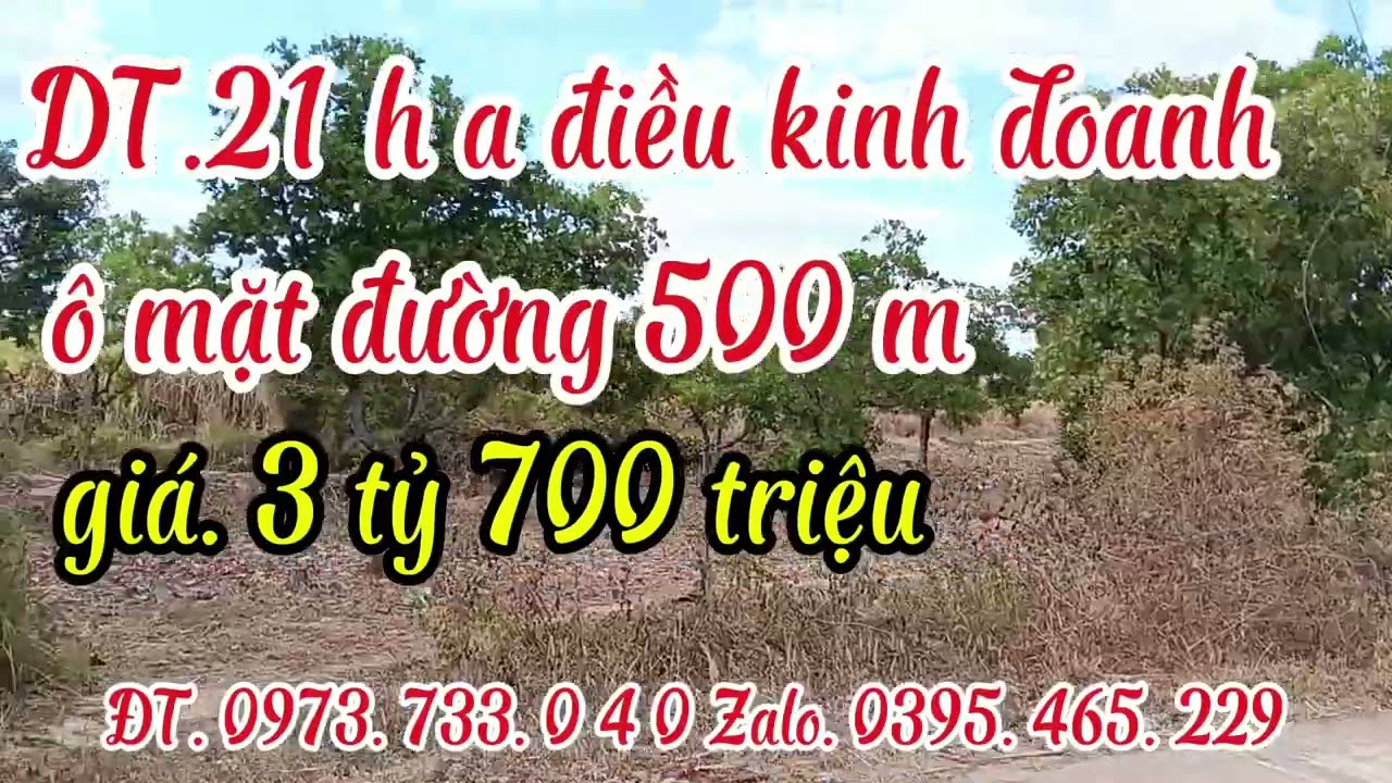 Chính chủ sang nhượng.21ha điều kinh doanh. Nguồn thu mạnh. Giá. 3 tỷ 700 triệu. 