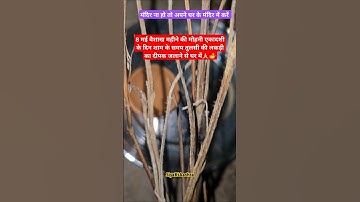 8 मई मोहनी एकादशी के दिन तुलसी के लकड़ी के दीपक जलाने से घर में #upay #tulsikilakadi #ekadashi #diya