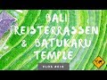 Die schönsten Bali Reisterrassen in Jatiluwih &amp; Batukaru Temple - Unsere Bali Erfahrungen