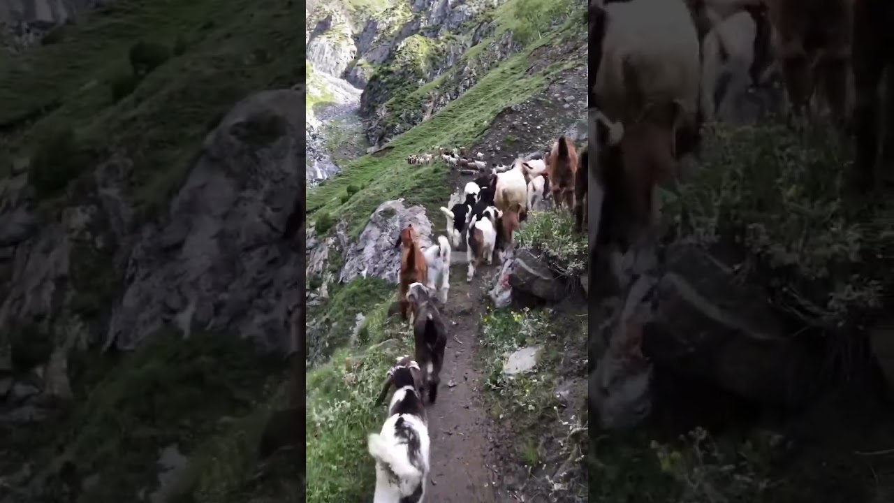 Haramosh Valley , Gilgit Baltistan 