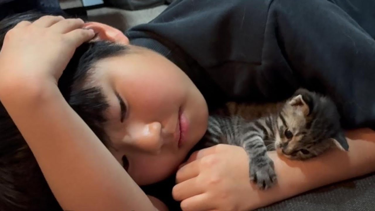 ずっと欲しかったんだ！やっとできた僕の可愛い妹