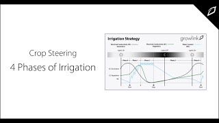Crop Steering  - 4 Phases of Irrigation