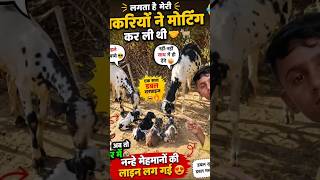नहे मेहमानों की लाइन ।। mini vlog||#trendings #minivlog #shortvideo #shorts #totalgaming