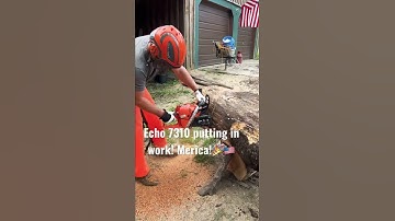 Cutting hard dry white oak. Breaking in the 7310. On its 7th tank of gas. #echo #firewood #woods