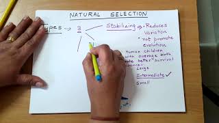 #naturalselection,#directionalselection. Natural selection-Types.