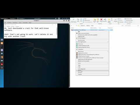 Why you really shouldn't crack your software / reverse shell example