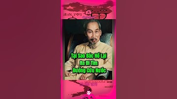 TẠI SAO BÁC HỒ LẠI RA ĐI TÌM ĐƯỜNG CỨU NƯỚC… #bảocóc #bảocócvlog #baococvlogboss #shorts #lichsu #xh