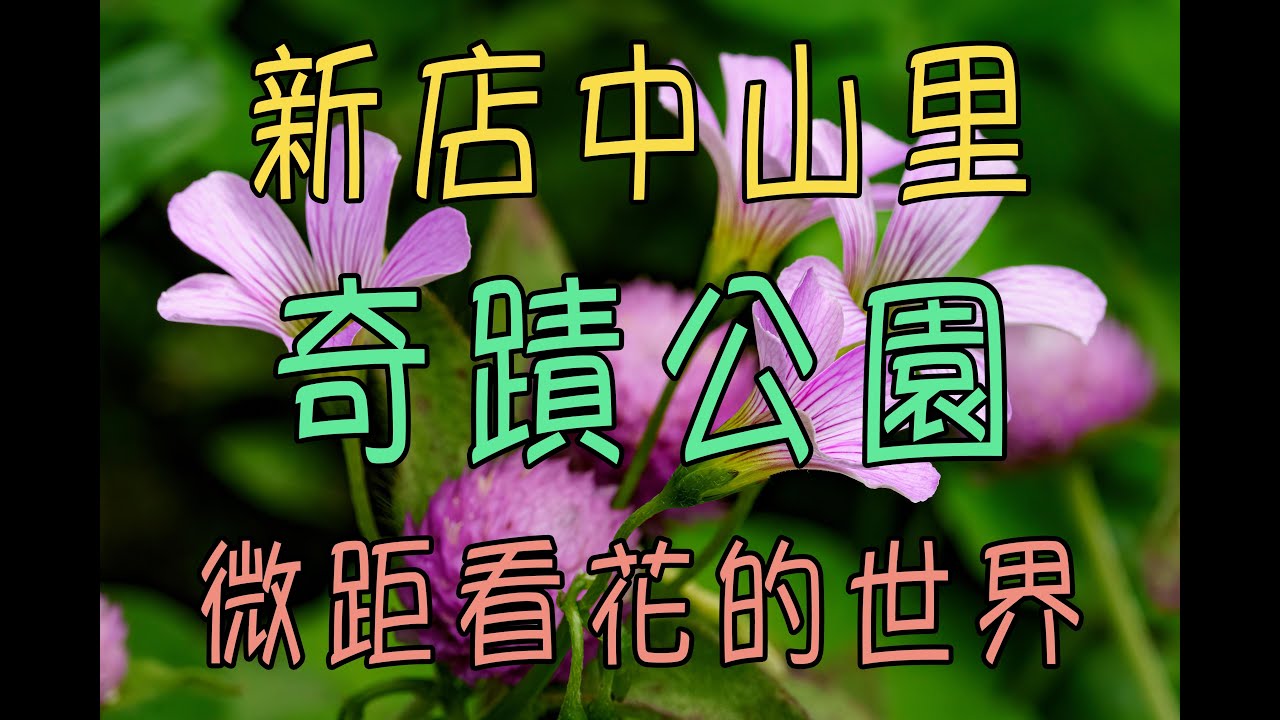 奇蹟公園 | 新店中山里 | 微距看花的世界
