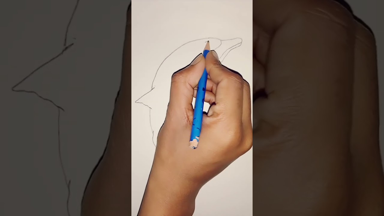 Blue Whale 🐋 Sea Shark 