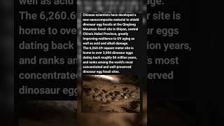 Chinese scientists have developed a new nanocomposite material to shield dinosaur egg fossils