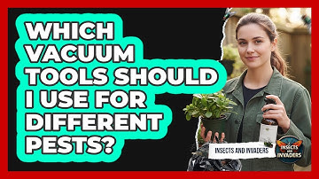 Which Vacuum Tools Should I Use For Different Pests? - Insects and Invaders