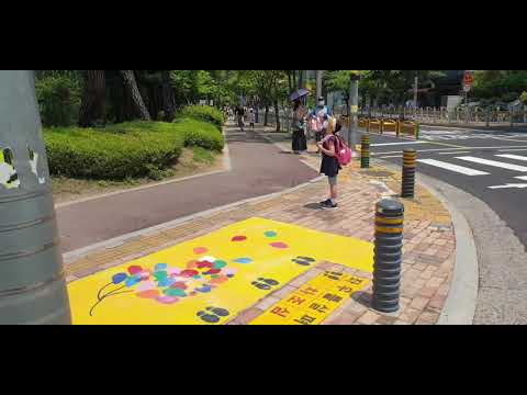 [성남]도촌초등학교 옐로카펫