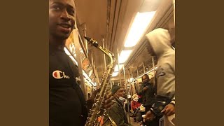 a rose blooms in chaos