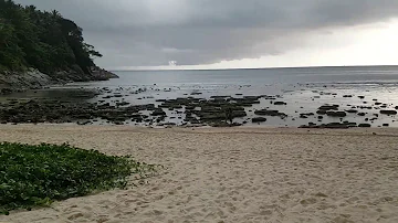 Cosa succede quando il mare si ritira?
