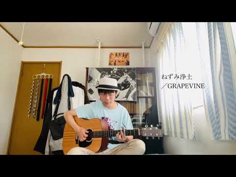 〔カバー〕ねずみ浄土／GRAPEVINE