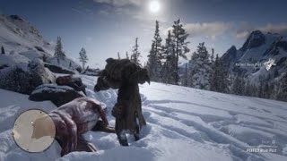 Red Dead Redemption 2 | Bear has plot armor!