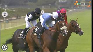 2020政治家錦標 2020 Politician Stakes G3