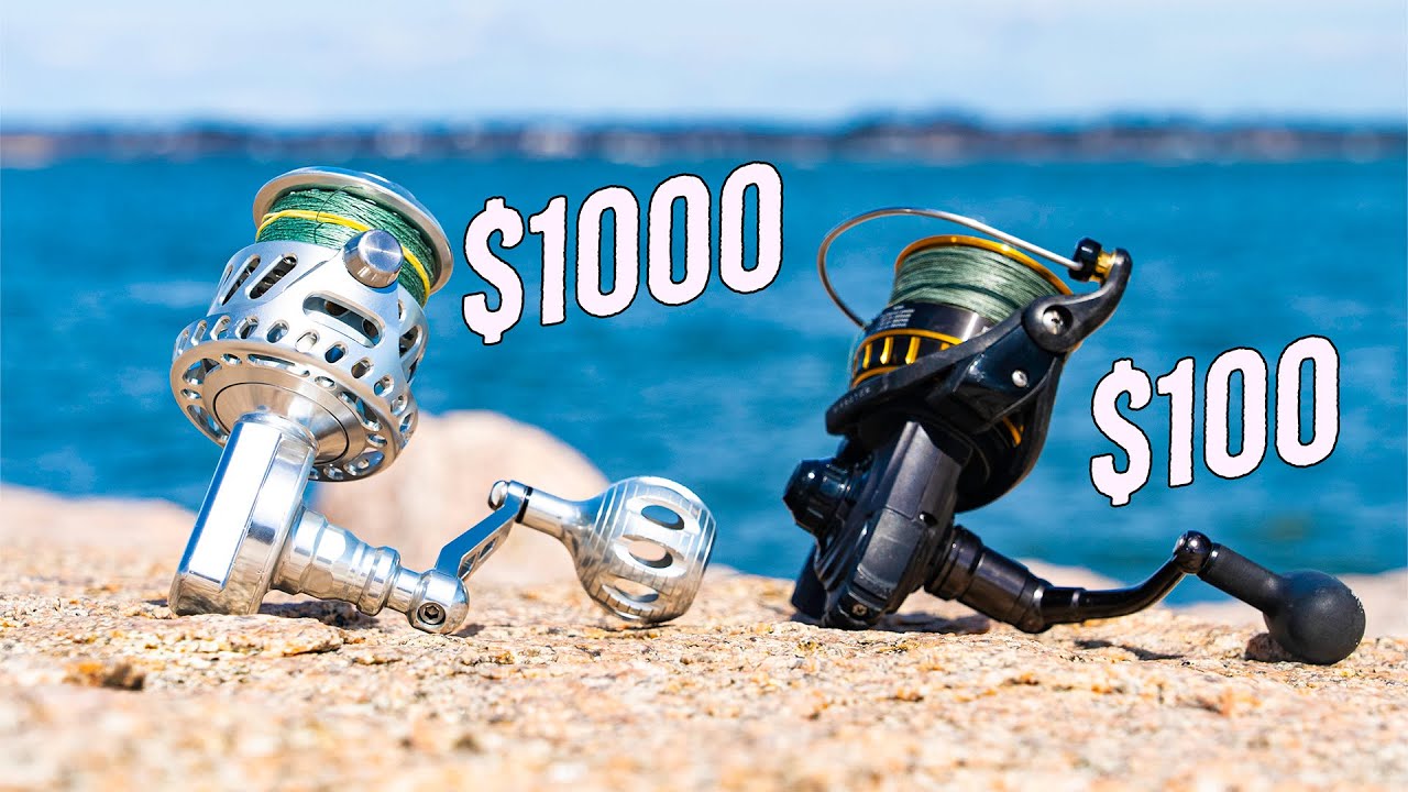 $1000 Surf Reel vs. $100 Surf Fishing Reel $1000 Surf Reel vs. $100 Surf Fishing Reel