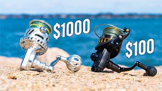 $1000 Surf Reel vs. $100 Surf Fishing Reel