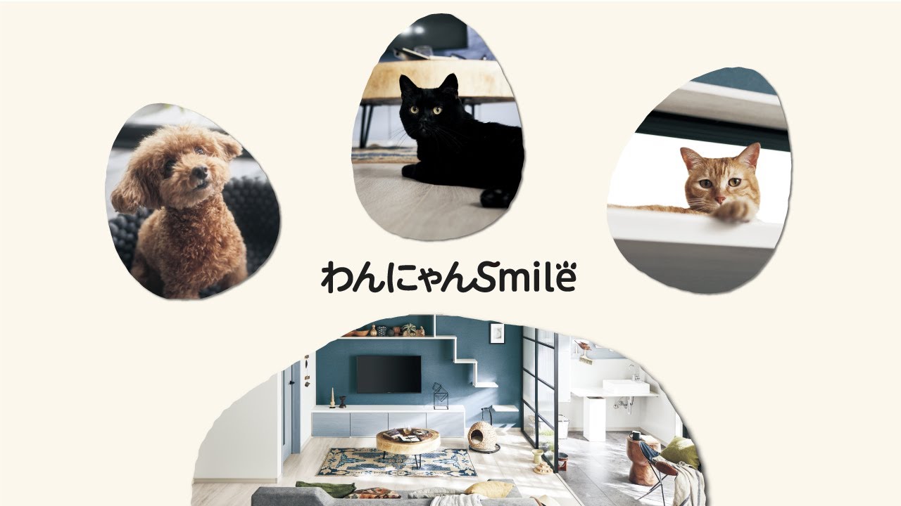 パナソニック 「わんにゃんSmile」をコンセプトにペット向け建材発売