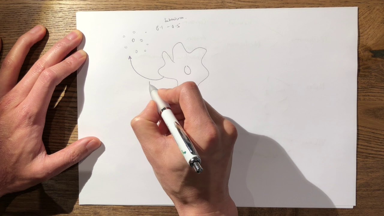 13  Wear and Osteolysis Cascade FRCS Tr&Orth