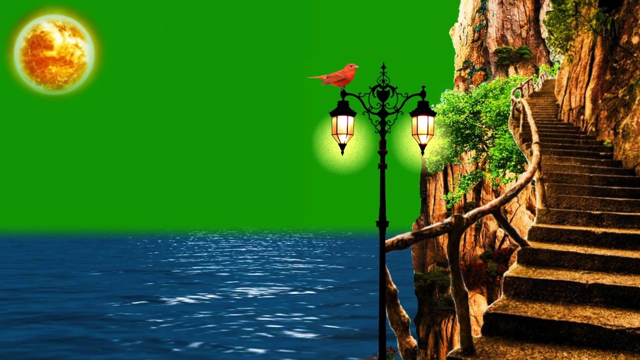 River Green Screen / Green Screen Background / Nature Green Screen ...