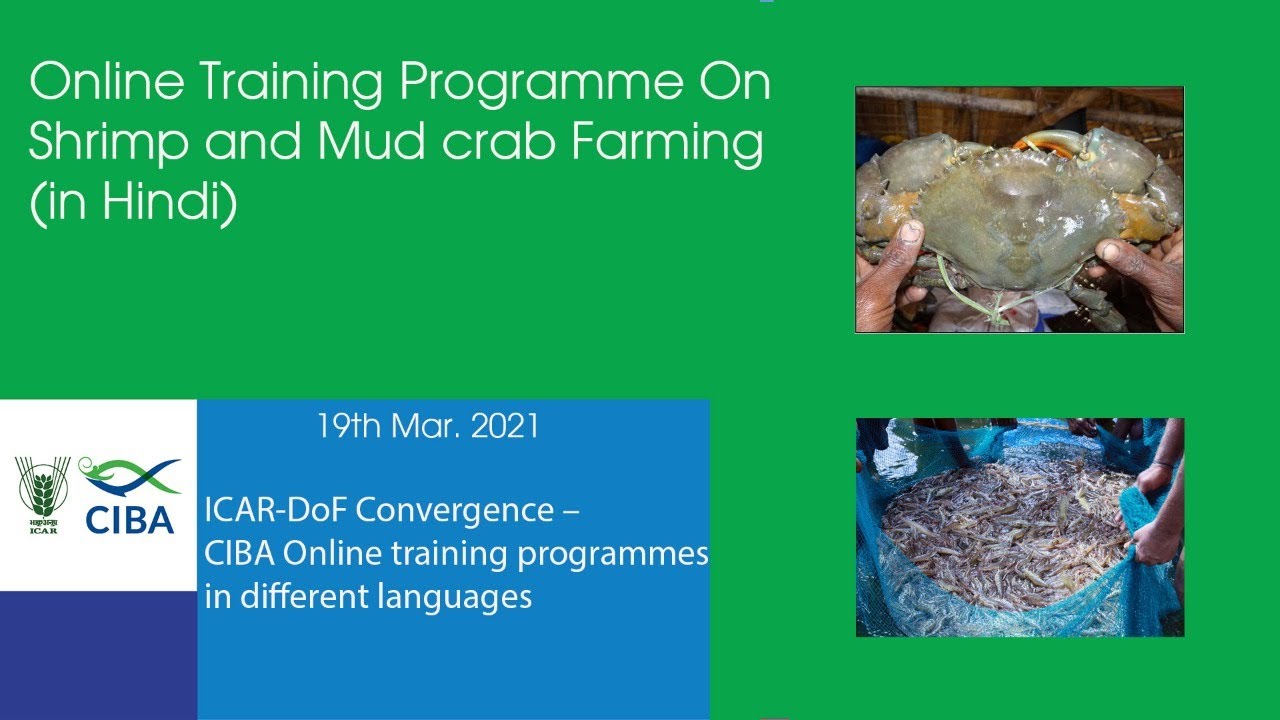 Online Training on Shrimp and Mudcrab Farming   (in Hindi)
