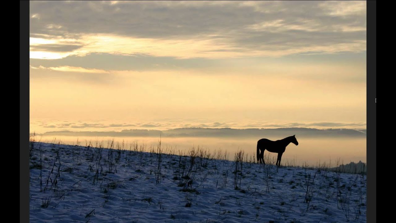 Psalm 141 YouTube
