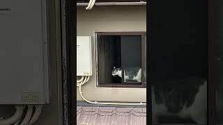 IMG 4943