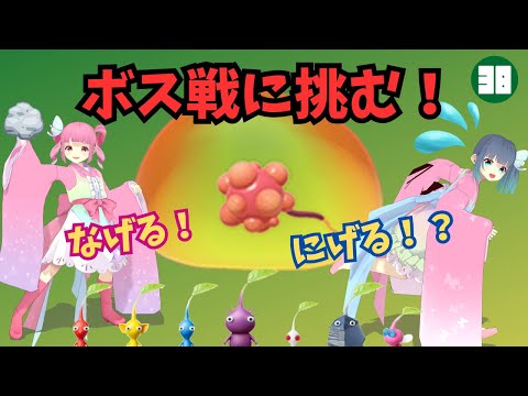 【ピクミン４】#3８ ついにボス戦！ポヨポヨなミツモチを攻略【PIKMIN4】