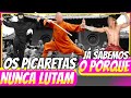POR QUE OS PICARETAS DAS ARTES MARCIAIS NUNCA LUTAM?