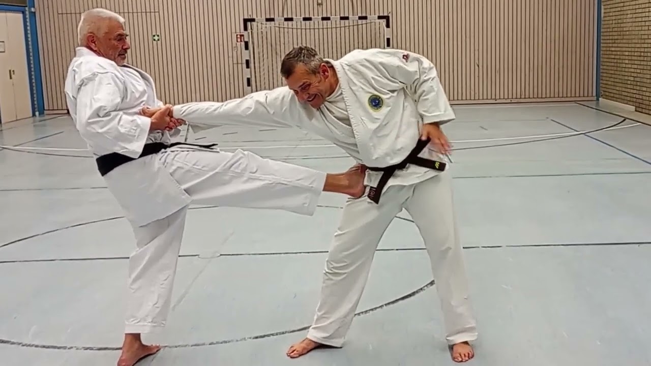 Bassai Dai Kata und Anwendungen