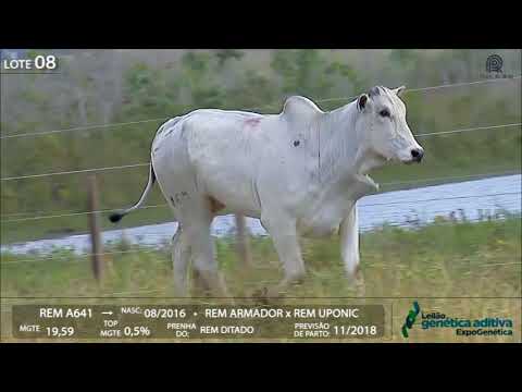 Lote 08 - REM FEICHADA
