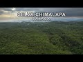 Oaxaca indomable  la selva inexplorada de los chimalapas