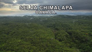 Oaxaca indomable || La Selva inexplorada de los Chimalapas