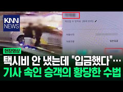 택시비 안 냈는데 "입금했다"… 기사 속인 승객의 황당한 수법 / KNN